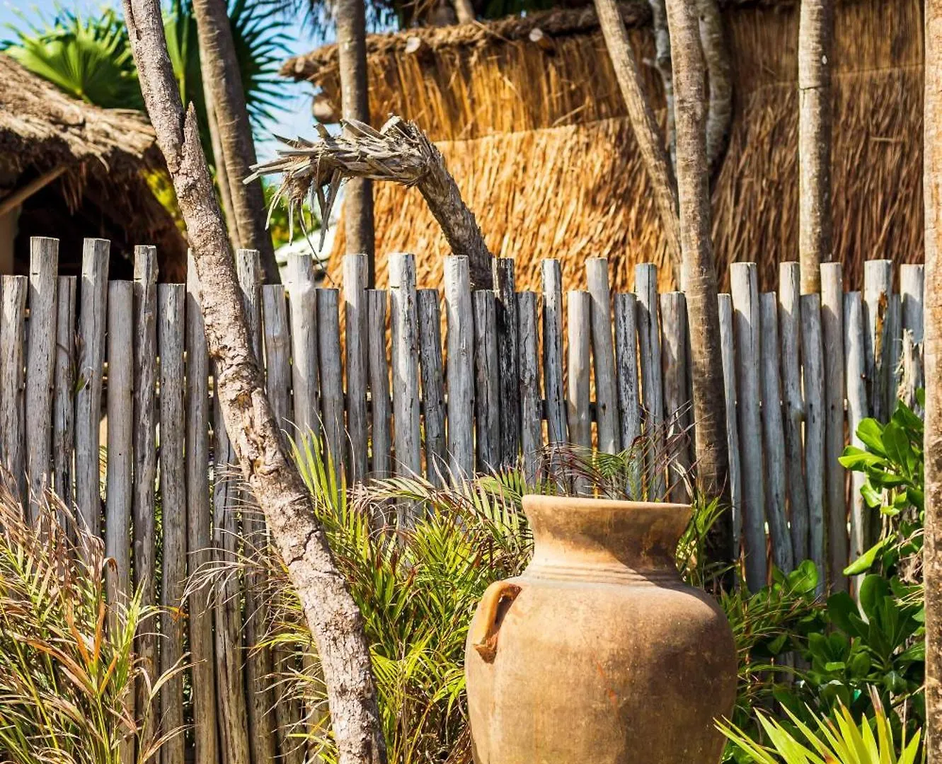 Phoenix Tulum Mexico