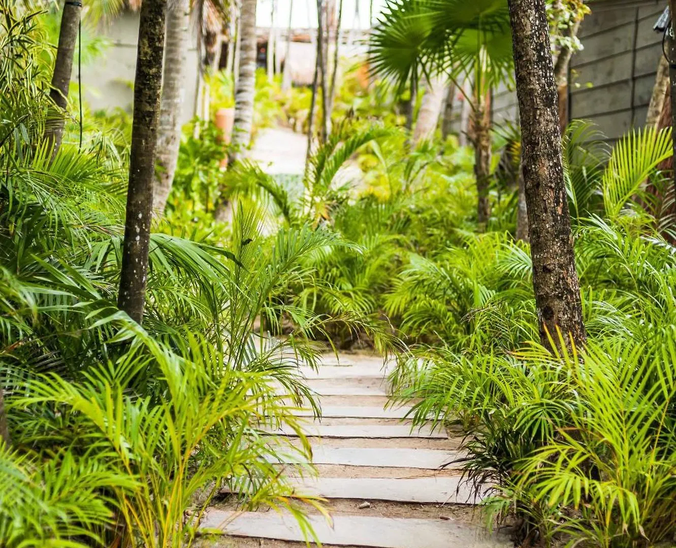 Phoenix Tulum Hotel