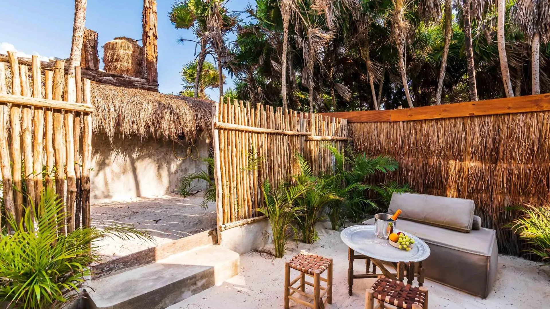 Phoenix Tulum Mexico